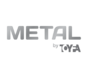 Metal by TOYFA